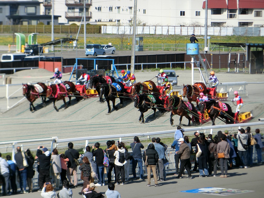 ばんえい十勝 11