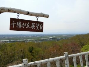 十勝が丘展望台